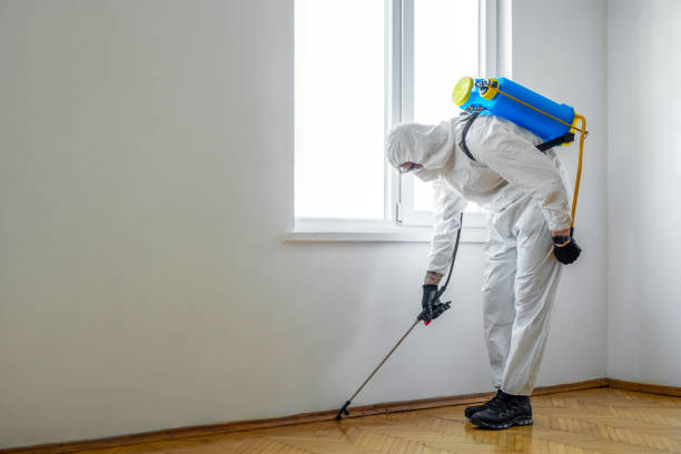 Best Flea Control Services  in Lost Hills, CA