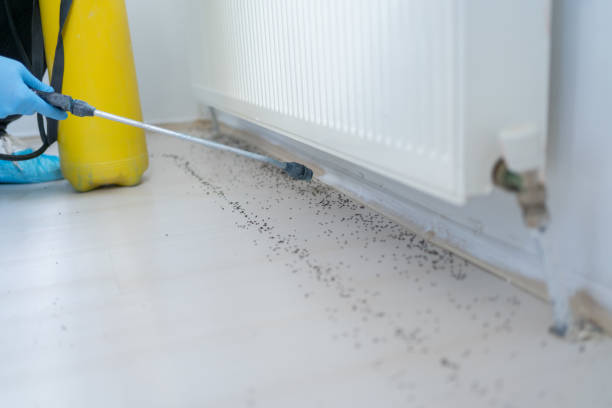 Best Pest Control Near Me  in Lost Hills, CA