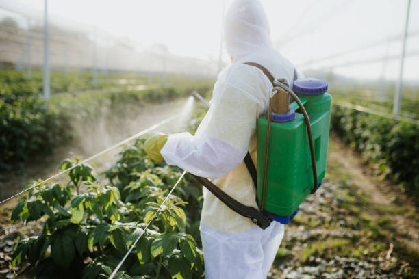 Best Termite Control Services  in Lost Hills, CA